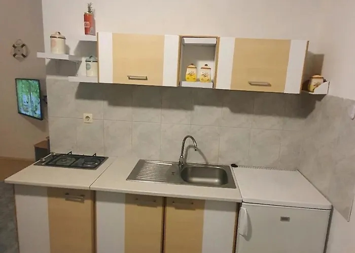 Apartmán Gavro Vir