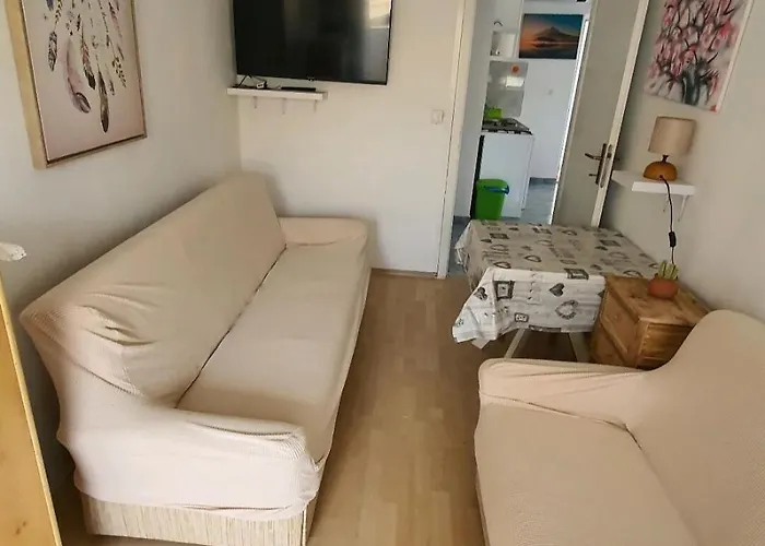Gavro Apartmán Vir